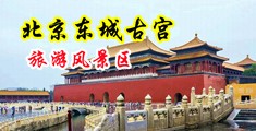 操我…啊啊啊…啊啊啊操我…用力操我免费视频中国北京-东城古宫旅游风景区
